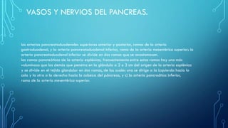 VASOS Y NERVIOS DEL PANCREAS.
las arterias pancreatoduodenales superiores anterior y posterior, ramas de la arteria
gastroduodenal, y la arteria pancreatoduodenal inferior, rama de la arteria mesentérica superior; la
arteria pancreatoduodenal inferior se divide en dos ramas que se anastomosan.
las ramas pancreáticas de la arteria esplénica; frecuentemente entre estas ramas hay una más
voluminosa que las demás que penetra en la glándula a 2 o 3 cm del origen de la arteria esplénica
y se divide en el tejido glandular en dos ramas, de las cuales una se dirige a la izquierda hacia la
cola y la otra a la derecha hacia la cabeza del páncreas, y c) la arteria pancreática inferior,
rama de la arteria mesentérica superior.
 