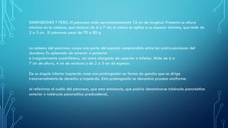 DIMENSIONES Y PESO. El páncreas mide aproximadamente 15 cm de longitud. Presenta su altura
máxima en la cabeza, que alcanza de 6 a 7 cm; lo mismo se aplica a su espesor máximo, que mide de
2 a 3 cm. El páncreas pesa de 70 a 80 g
La cabeza del páncreas ocupa una parte del espacio comprendido entre las cuatro porciones del
duodeno. Es aplanada de anterior a posterior
e irregularmente cuadrilátera, así como alargada de superior a inferior. Mide de 6 a
7 cm de altura, 4 cm de anchura y de 2 a 3 cm de espesor.
De su ángulo inferior izquierdo nace una prolongación en forma de gancho que se dirige
transversalmente de derecha a izquierda. Esta prolongación se denomina proceso unciforme.
al referirnos al cuello del páncreas, que esta eminencia, que podría denominarse tubérculo pancreático
anterior o tubérculo pancreático preduodenal,
 