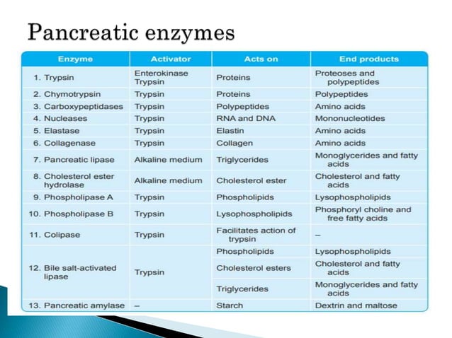 PANCREAS.ppt DIGESTIVE SYSTEM PHYSIOLOGY | PPT