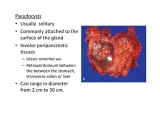 Pseudocysts
• Usually solitary
• Commonly attached to the
surface of the gland
• Involve peripancreatic
tissues
– Lesser omental sac
– Retroperitoneum between
the between the stomach,
transverse colon or liver
• Can range in diameter
from 2 cm to 30 cm.
 