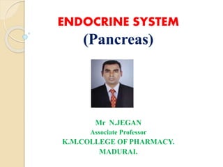 ENDOCRINE SYSTEM
(Pancreas)
Mr N.JEGAN
Associate Professor
K.M.COLLEGE OF PHARMACY.
MADURAI.
 