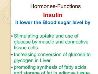 Pancreas endocrine function ppt | PPTX