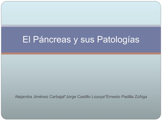 Alejandra Jiménez Carbajal*Jorge Castillo Lozoya*Ernesto Padilla Zúñiga
El Páncreas y sus Patologías
 
