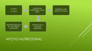 APOYO NUTRICIONAL
AYUNO
3-7 DIAS
NUTRICION
PARENTERAL TOTAL
(NPT)
ENTERICA POR
SONDA YEYUNAL
ATROFIA DE LA
MUCOSA
INTESTINAL
TRANSMIGRACION
DE BACTERIAS
LUMINARES
 