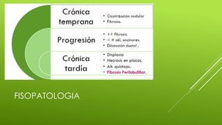 FISOPATOLOGIA
 