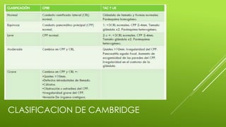 CLASIFICACION DE CAMBRIDGE
 