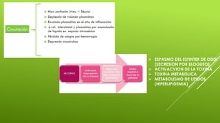  ESPASMO DEL ESFINTER DE ODDI
(SECRESION POR BLOQUEO)
 ACTIVACVION DE LA TOXINA
 TOXINA METABOLICA
 METABOLISMO DE LIPIDOS
(HIPERLIPIDEMIA)
 