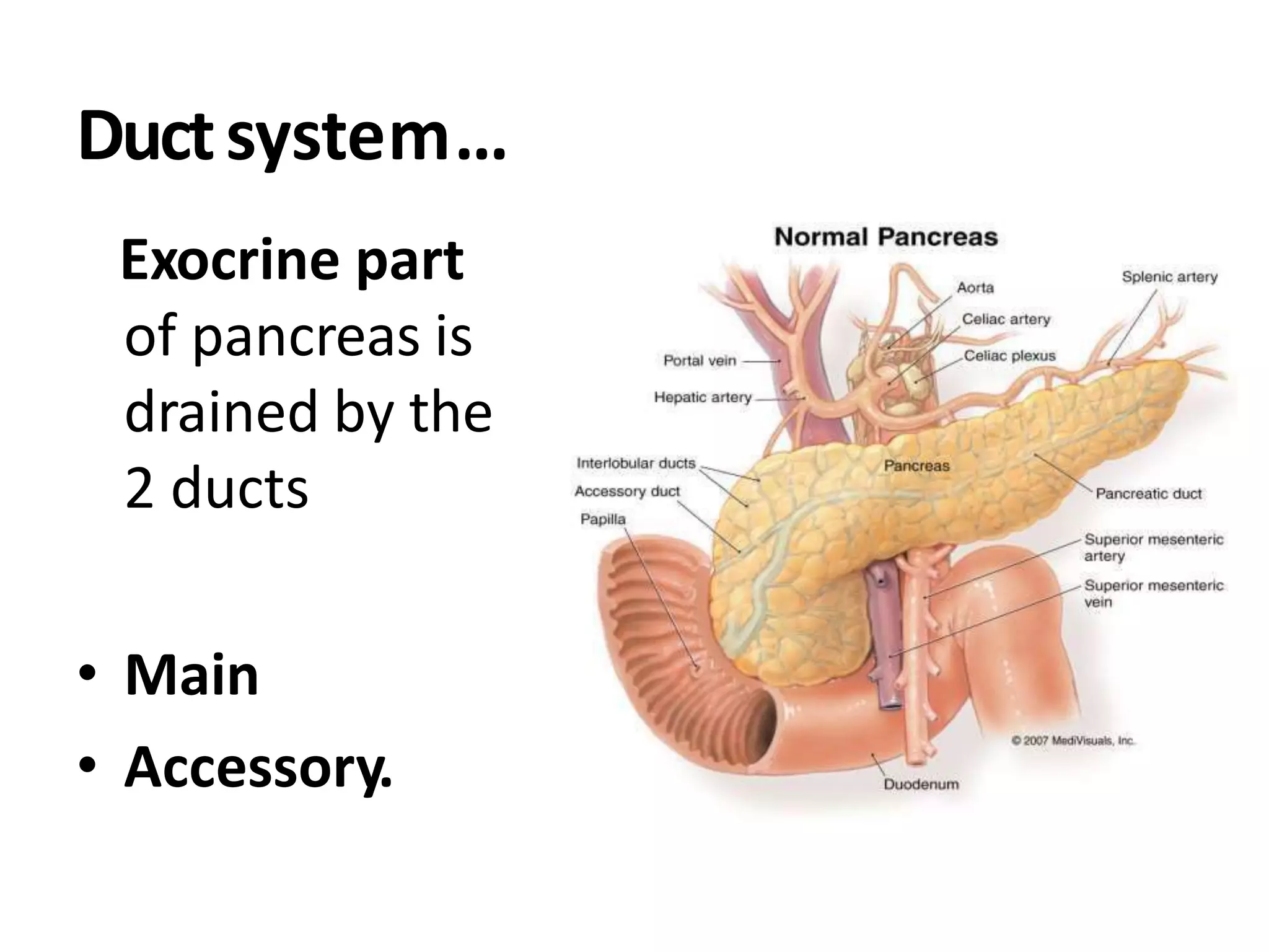 Ductsystem…
Exocrine part
of pancreas is
drained by the
2 ducts
• Main
• Accessory.
 