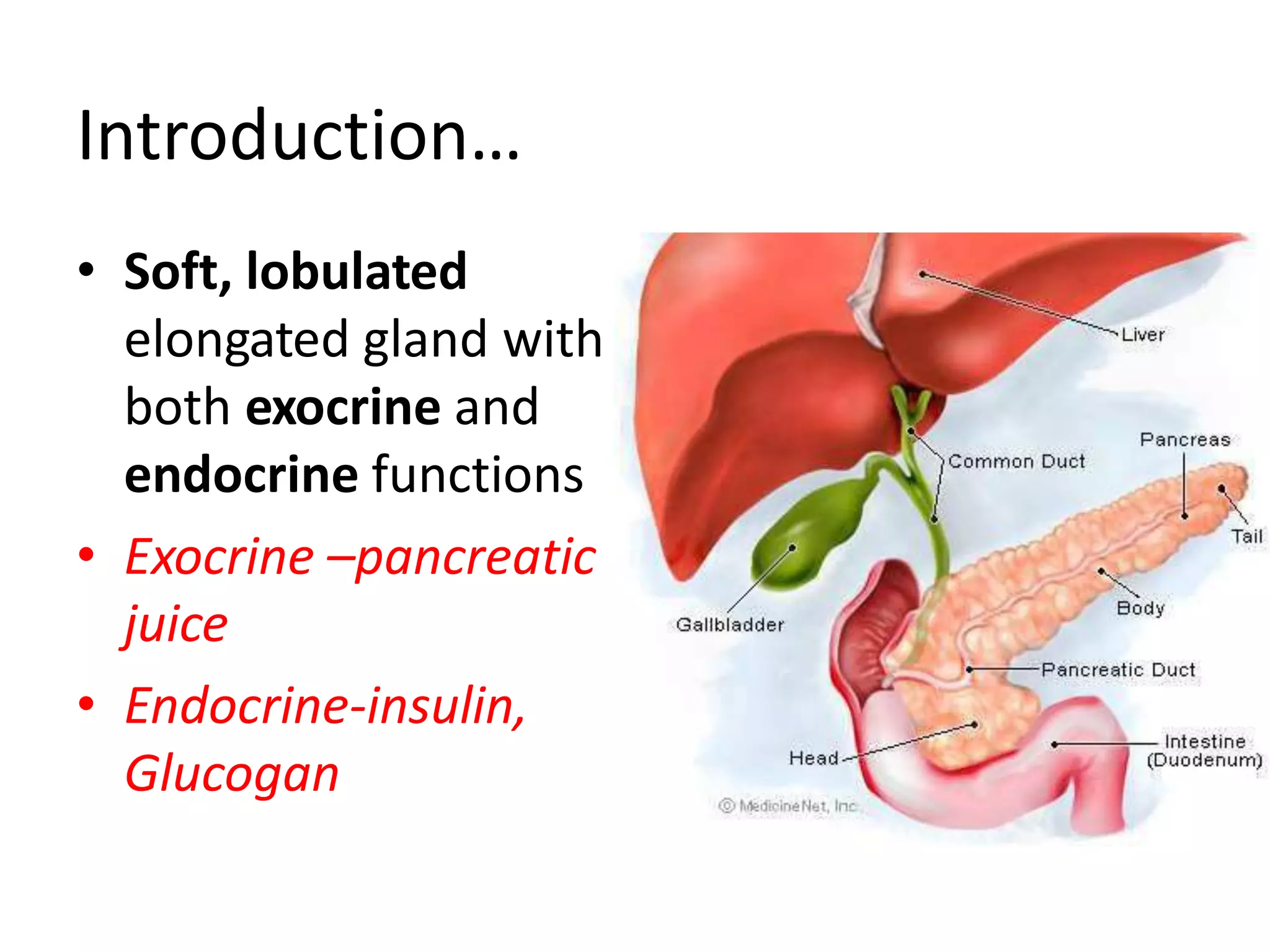 Introduction…
• Soft, lobulated
elongated gland with
both exocrine and
endocrine functions
• Exocrine –pancreatic
juice
• Endocrine-insulin,
Glucogan
 