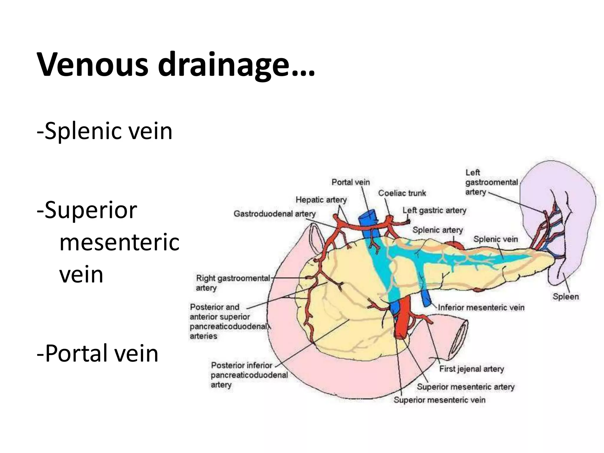 Venous drainage…
-Splenic vein
-Superior
mesenteric
vein
-Portal vein
 