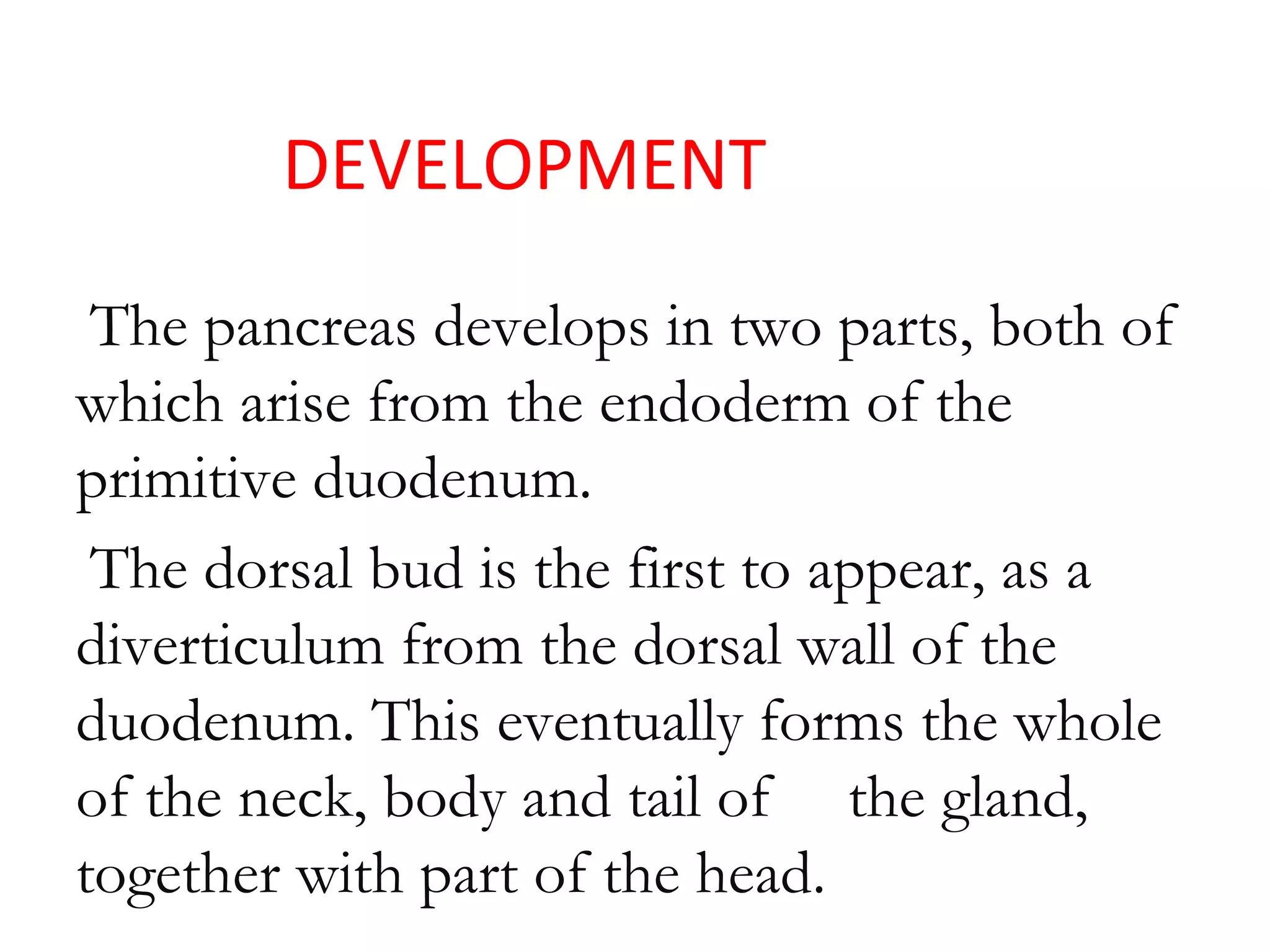 DEVELOPMENT
The pancreas develops in two parts, both of
which arise from the endoderm of the
primitive duodenum.
The dorsal bud is the first to appear, as a
diverticulum from the dorsal wall of the
duodenum. This eventually forms the whole
of the neck, body and tail of the gland,
together with part of the head.
 