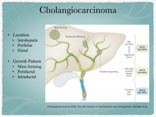 • Location
• Intrahepatic
• Perihilar
• Distal
• Growth Pattern
• Mass forming
• Periductal
• Intraductal
Cholangiocarcinoma 2020: the next horizon in mechanisms and management. Banales et.al
 