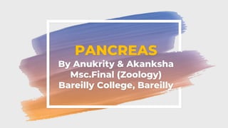 PANCREAS
By Anukrity & Akanksha
Msc.Final (Zoology)
Bareilly College, Bareilly
 
