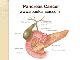 Pancreas Cancer 
www.aboutcancer.com 
 