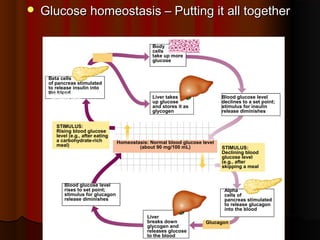 Pancrease