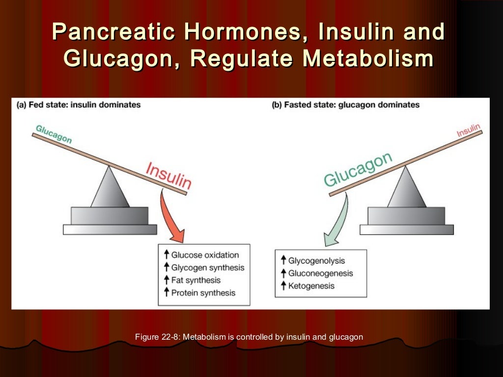 Pancrease