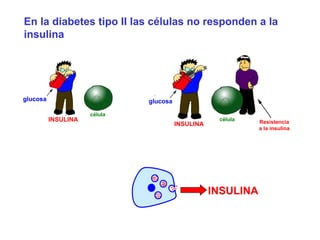 En la diabetes tipo II las células no responden a la 
insulina 
INSULINA 
glucosa glucosa 
INSULINA 
INSULINA Resistencia 
a la insulina 
célula 
célula 
 