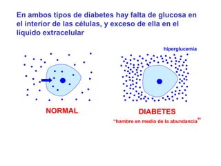 En ambos tipos de diabetes hay falta de glucosa en 
el interior de las células, y exceso de ella en el 
líquido extracelular 
DIABETES 
“hambre en medio de la abundancia” 
NORMAL 
hiperglucemia 
 