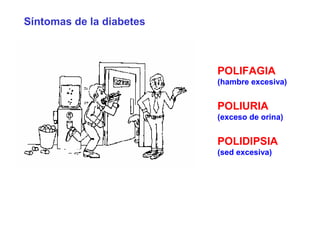 Síntomas de la diabetes 
POLIFAGIA 
(hambre excesiva) 
POLIURIA 
(exceso de orina) 
POLIDIPSIA 
(sed excesiva) 
 