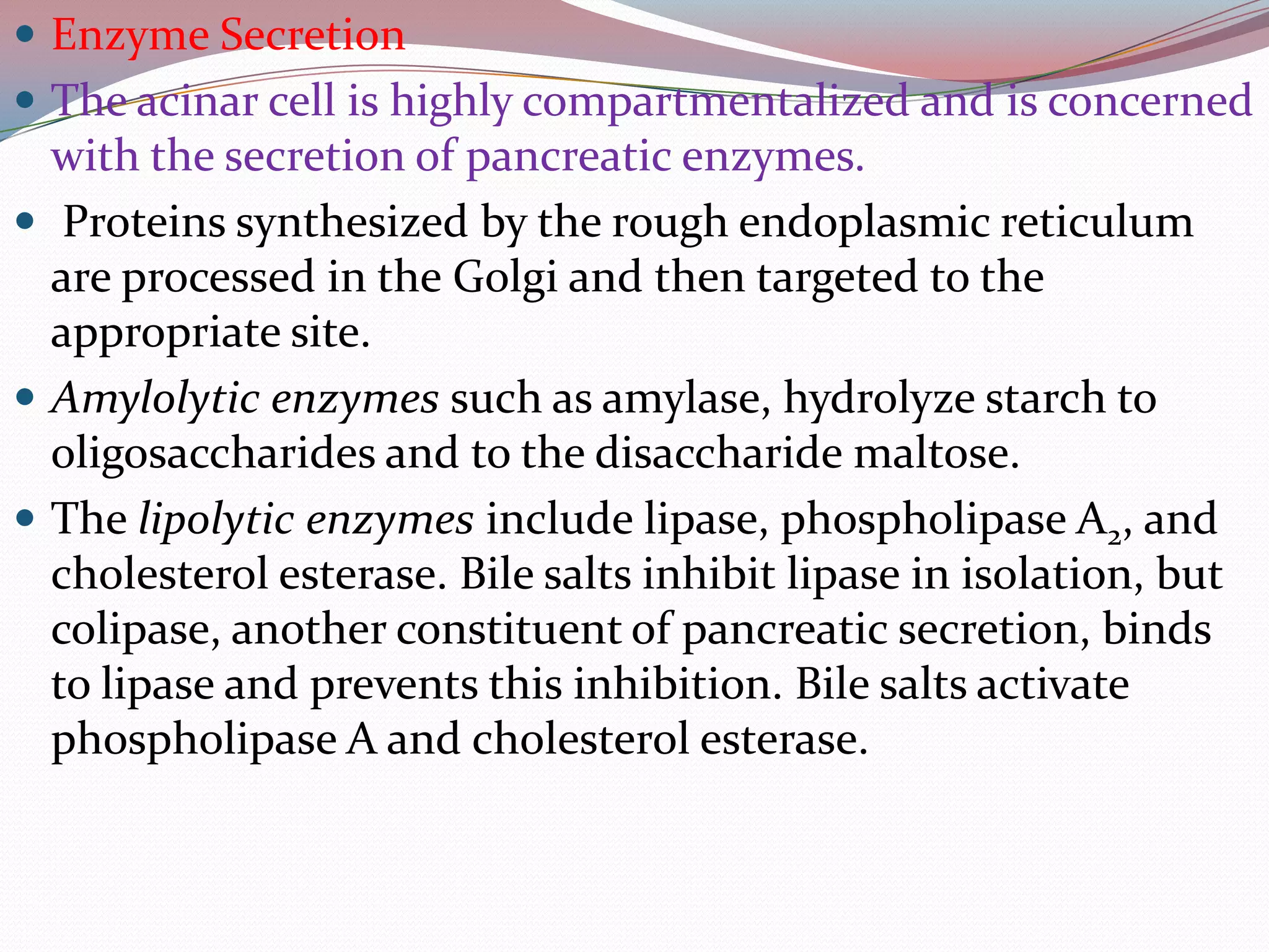  Enzyme Secretion
 The acinar cell is highly compartmentalized and is concerned
with the secretion of pancreatic enzymes.
 Proteins synthesized by the rough endoplasmic reticulum
are processed in the Golgi and then targeted to the
appropriate site.
 Amylolytic enzymes such as amylase, hydrolyze starch to
oligosaccharides and to the disaccharide maltose.
 The lipolytic enzymes include lipase, phospholipase A2, and
cholesterol esterase. Bile salts inhibit lipase in isolation, but
colipase, another constituent of pancreatic secretion, binds
to lipase and prevents this inhibition. Bile salts activate
phospholipase A and cholesterol esterase.
 