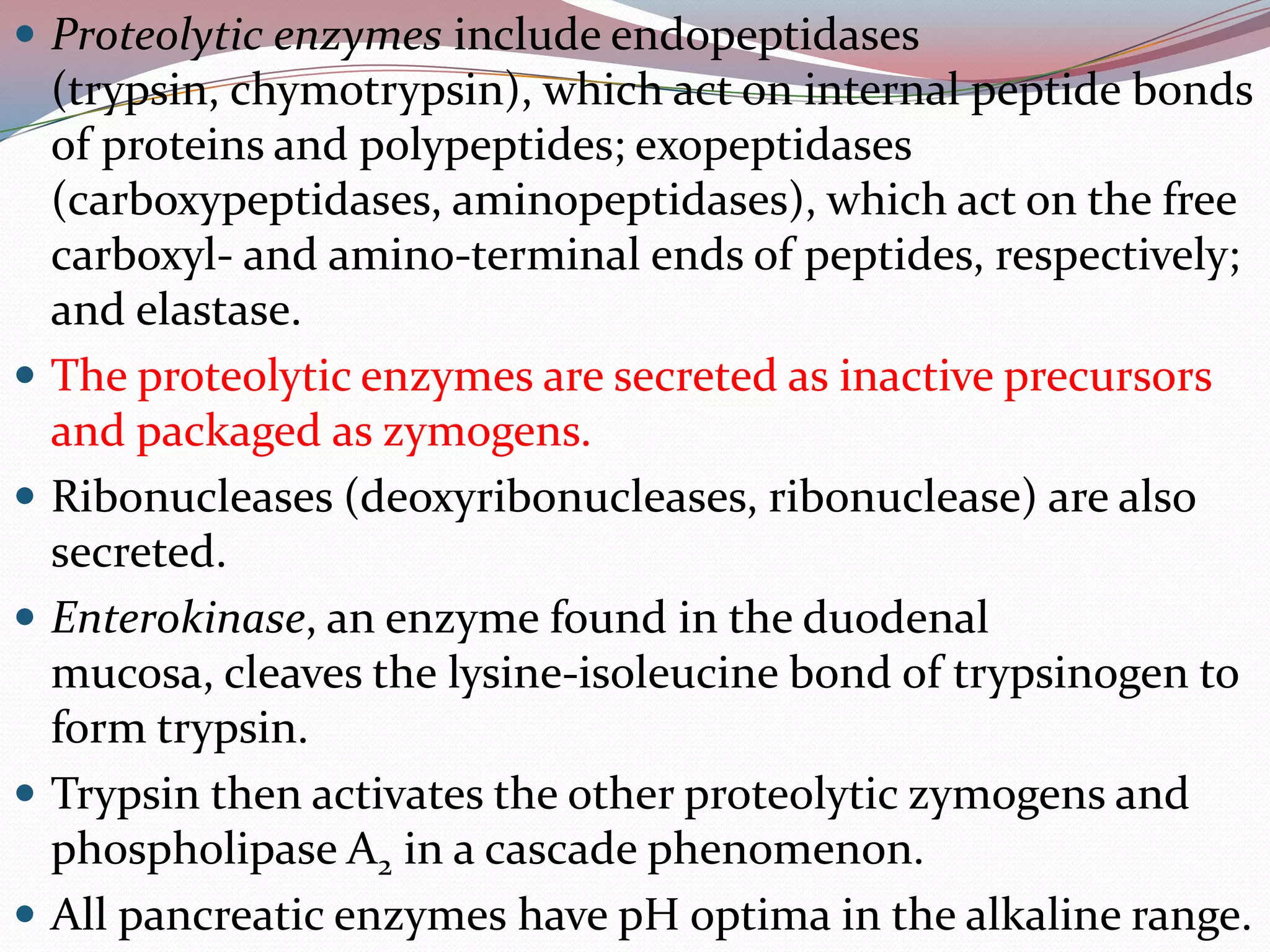  Proteolytic enzymes include endopeptidases
(trypsin, chymotrypsin), which act on internal peptide bonds
of proteins and polypeptides; exopeptidases
(carboxypeptidases, aminopeptidases), which act on the free
carboxyl- and amino-terminal ends of peptides, respectively;
and elastase.
 The proteolytic enzymes are secreted as inactive precursors
and packaged as zymogens.
 Ribonucleases (deoxyribonucleases, ribonuclease) are also
secreted.
 Enterokinase, an enzyme found in the duodenal
mucosa, cleaves the lysine-isoleucine bond of trypsinogen to
form trypsin.
 Trypsin then activates the other proteolytic zymogens and
phospholipase A2 in a cascade phenomenon.
 All pancreatic enzymes have pH optima in the alkaline range.
 