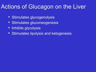 Curated visual reference: Fresh Look at Pancreas Lec