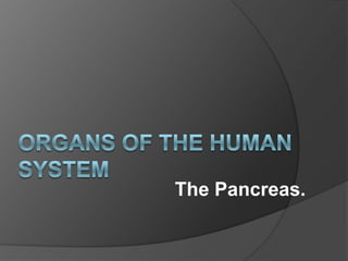 Organs of The Human System The Pancreas. 