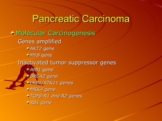 Patho B Pancreas Patho B 2 | PPT