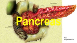 Pancreas
Por:
Angélica Pazos
 