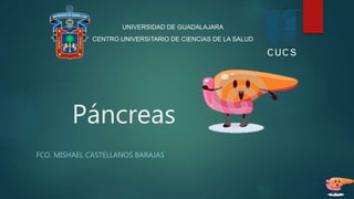 Páncreas
FCO. MISHAEL CASTELLANOS BARAJAS
UNIVERSIDAD DE GUADALAJARA
CENTRO UNIVERSITARIO DE CIENCIAS DE LA SALUD
 