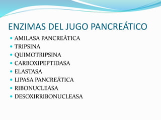 ENZIMAS DEL JUGO PANCREÁTICO
 AMILASA PANCREÁTICA
 TRIPSINA
 QUIMOTRIPSINA
 CARBOXIPEPTIDASA
 ELASTASA
 LIPASA PANCREÁTICA
 RIBONUCLEASA
 DESOXIRRIBONUCLEASA
 