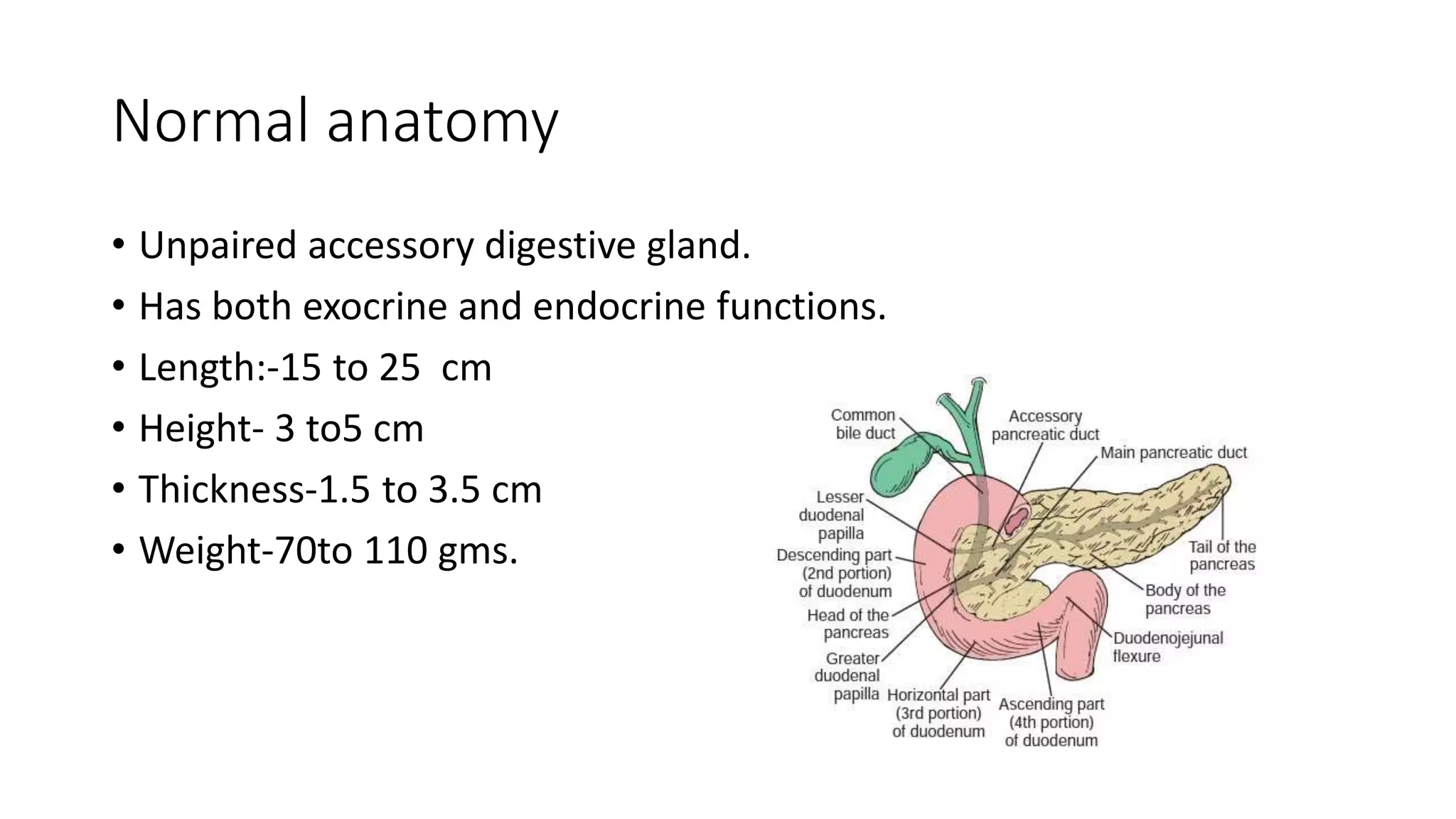Pancreas RADIOLOGY | PPTX