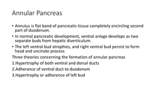 Annular Pancreas
• Annulus is flat band of pancreatic tissue completely encircling second
part of duodenum.
• In normal pancreatic development, ventral anlage develops as two
separate buds from hepatic diverticulum.
• The left ventral bud atrophies, and right ventral bud persist to form
head and uncinate process
Three theories concerning the formation of annular pancreas
1.Hypertrophy of both ventral and dorsal ducts
2.Adherance of ventral duct to duodenum
3.Hypertrophy or adherence of left bud
 