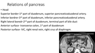 Relations of pancreas
• Head
Superior border-1st part of duodenum, superior pancreaticoduodenal artery.
Inferior bordrer-3rd part of duodenum, inferior pancreaticoduodenal artery.
Right lateral boredr-2nd part of duodenum, terminal part of bile duct
Anterior surface- transverse colon, 1st part of duodenum
Posterior surface- IVC, right renal vein, right crus of diaphragm.
 