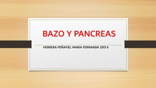 BAZO Y PANCREAS
HERRERA PEÑAFIEL MARIA FERNANDA 2DO 6
 