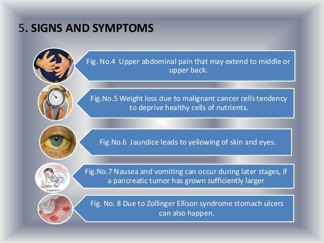 What signs of pain are consistent with pancreatic problems?