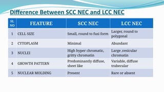 Comprehensive Overview of Pancreatic Cancer: Risk Factors, Types, and ...