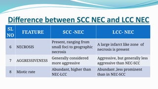 Comprehensive Overview of Pancreatic Cancer: Risk Factors, Types, and ...