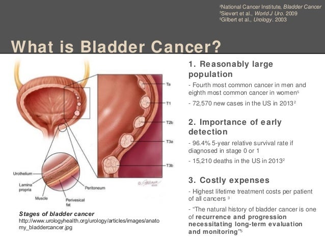 Bladder Cancer Diagnostic-Initial Team Project