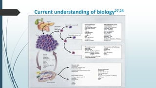 Current understanding of biology27,28
 