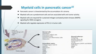 Myeloid cells in pancreatic cancer32
 Pancreatic cancer is characterized by the accumulation of a stroma.
 Myeloid cells are a predominant cells and are associated with anti-tumor activity.
 Myeloid cells are required for sustained mitogen-activated protein kinases (MAPK)
signaling for KRAS oncogene.
 Myeloid cells regulate expression of PD-L1 in tumor cells
 