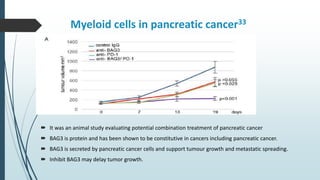 Myeloid cells in pancreatic cancer33
 It was an animal study evaluating potential combination treatment of pancreatic cancer
 BAG3 is protein and has been shown to be constitutive in cancers including pancreatic cancer.
 BAG3 is secreted by pancreatic cancer cells and support tumour growth and metastatic spreading.
 Inhibit BAG3 may delay tumor growth.
 