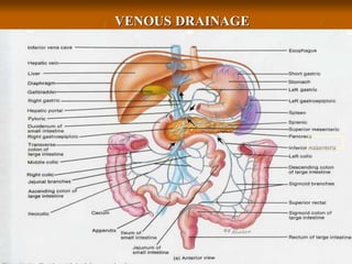 VENOUS DRAINAGE
 