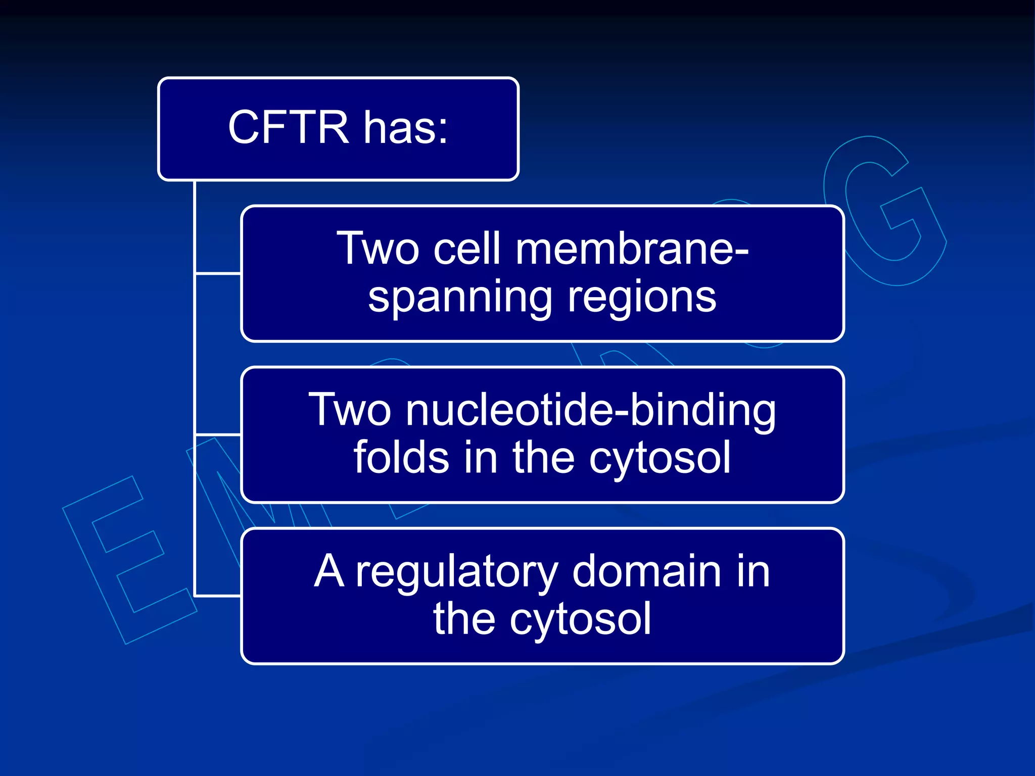 CFTR has:
Two cell membrane-
spanning regions
Two nucleotide-binding
folds in the cytosol
A regulatory domain in
the cytosol
 
