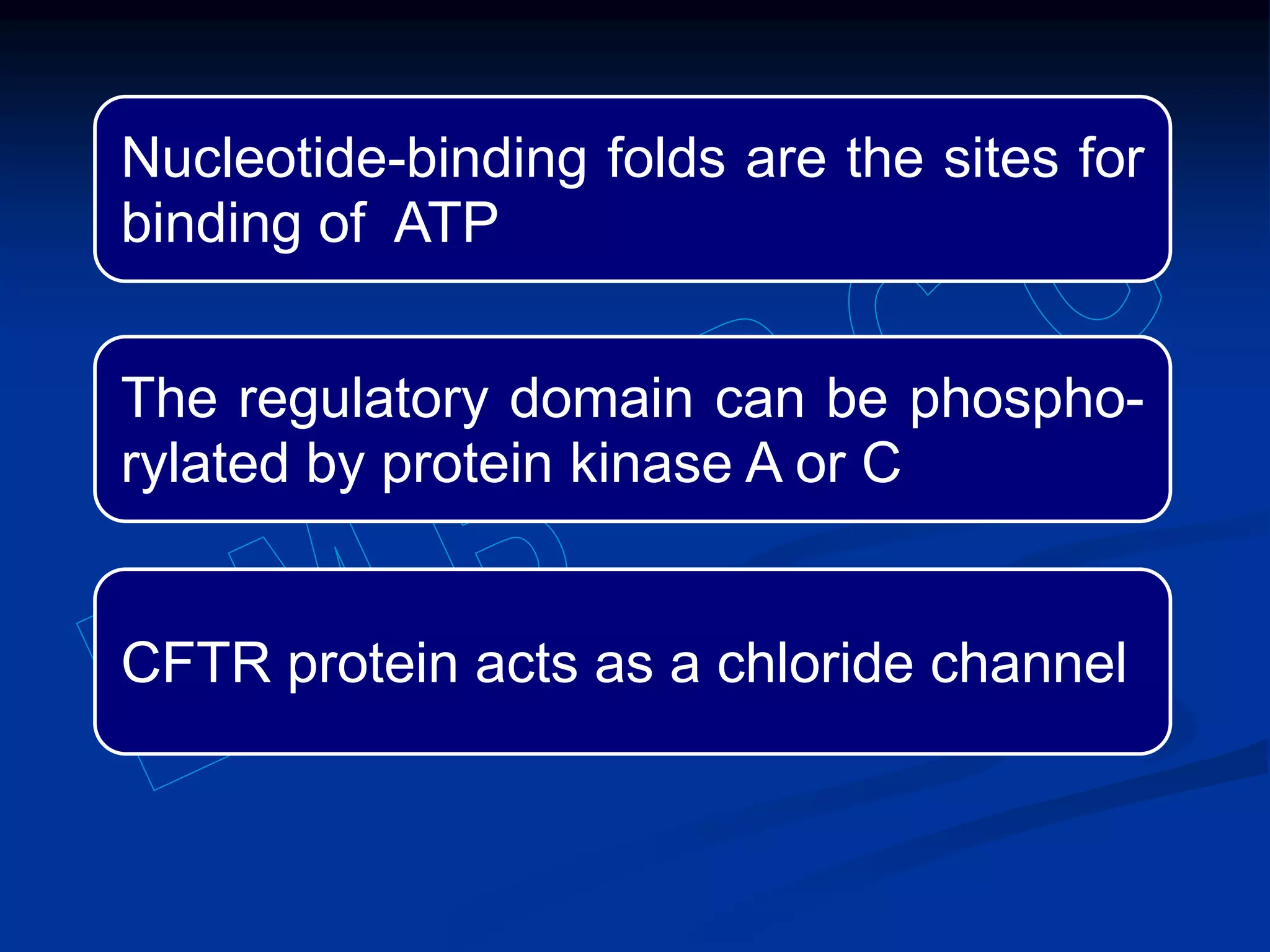 Nucleotide-binding folds are the sites for
binding of ATP
The regulatory domain can be phospho-
rylated by protein kinase A or C
CFTR protein acts as a chloride channel
 