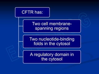 Pancreatic function tests | PPTX