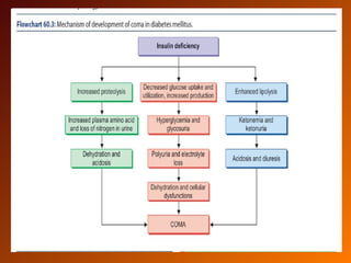 Pancreas: Structure, Hormones, Functions & Disorders | PPT