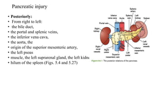 Pancreatic injury
• Posteriorly:
• From right to left:
• the bile duct,
• the portal and splenic veins,
• the inferior vena cava,
• the aorta, the
• origin of the superior mesenteric artery,
• the left psoas
• muscle, the left suprarenal gland, the left kidney, and the
• hilum of the spleen (Figs. 5.4 and 5.27)
 