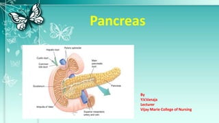 Pancreas
By
Y.V.Vanaja
Lecturer
Vijay Marie College of Nursing
 