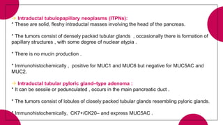  Intraductal tubulopapillary neoplasms (ITPNs):
* These are solid, fleshy intraductal masses involving the head of the pancreas.
* The tumors consist of densely packed tubular glands , occasionally there is formation of
papillary structures , with some degree of nuclear atypia .
* There is no mucin production .
* Immunohistochemically , positive for MUC1 and MUC6 but negative for MUC5AC and
MUC2.
 Intraductal tubular pyloric gland–type adenoma :
* It can be sessile or pedunculated , occurs in the main pancreatic duct .
* The tumors consist of lobules of closely packed tubular glands resembling pyloric glands.
* Immunohistochemically, CK7+/CK20– and express MUC5AC .
 